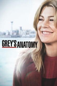 descargar anatomia de grey torrent.